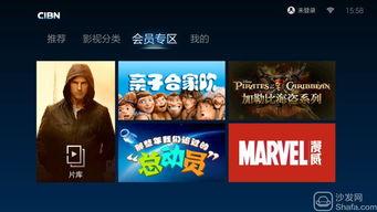 视频tv版,揭秘视频背后的精彩故事