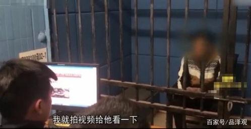 恐吓视频,从视频内容到心理影响深度剖析