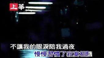 173视频,揭秘热门话题背后的真相与观点