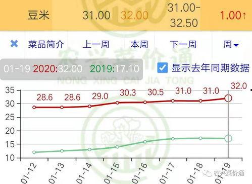 小瓜今日行情走势分析,今日走势深度解析