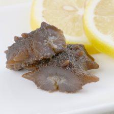活海参视频,揭秘活海参的神奇魅力