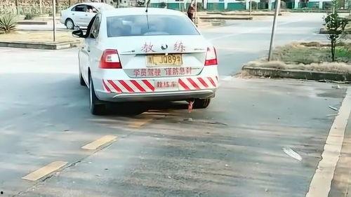 侧位停车视频,视频教学助你轻松入库
