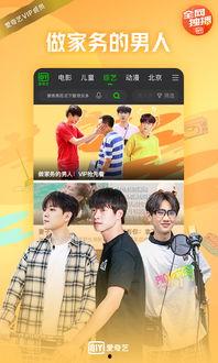 爱奇艺爱奇艺视频,打造多元化娱乐生态，引领视频行业新潮流