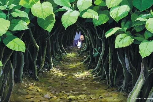 flash动画视频,一帧一秒的视觉盛宴