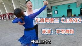 交谊舞视频教程,交谊舞教程视频精华解析