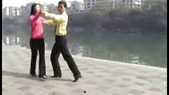 交谊舞视频教程,交谊舞教程视频精华解析