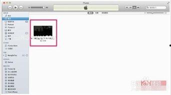 苹果手机导入视频,轻松掌握视频导入技巧
