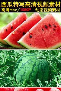 吃瓜爆料素材视频大全集,揭秘娱乐圈幕后真相，视频大全集深度解析