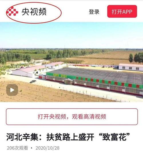 辛集视频,视频中的古城韵味与现代化变迁