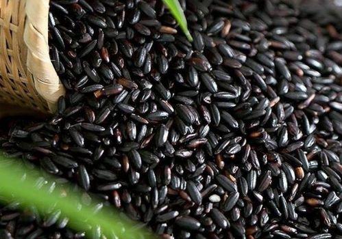 黑米瓜怎样吃最好吃,解锁最佳口感之道