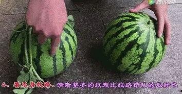 黑米瓜怎样吃最好吃,解锁最佳口感之道