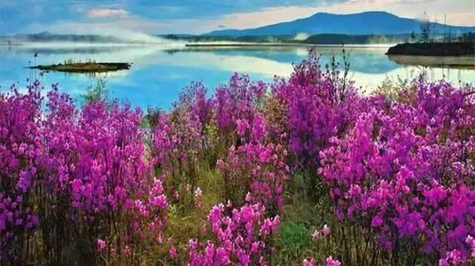 阿尔山视频,北国风光，秘境探险之旅