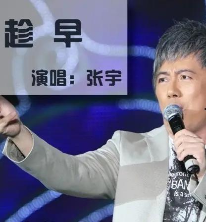 张宇歌曲视频,旋律中的情感旅程