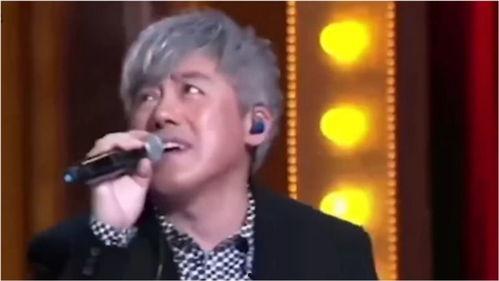 张宇歌曲视频,旋律中的情感旅程