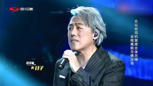 张宇歌曲视频,旋律中的情感旅程