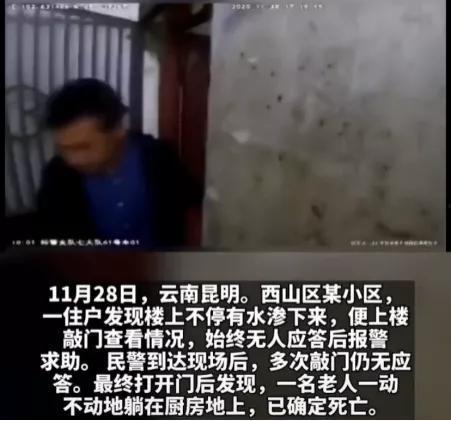 最感人的视频,那些触动心灵的感人瞬间