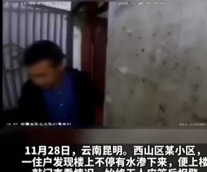 最感人的视频,那些触动心灵的感人瞬间