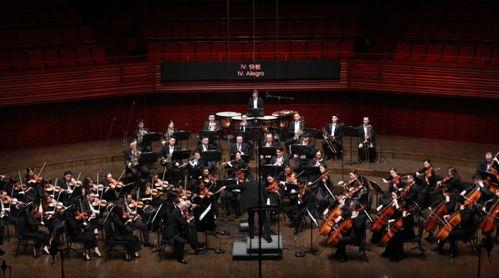 交响乐视频,旋律与情感的交响之旅