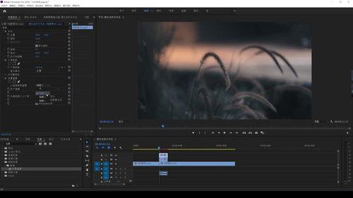 pr视频转场,打造流畅视觉盛宴