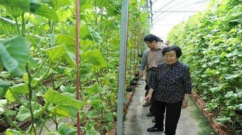 顶流社吃瓜爆料百度云,百度云助力追踪娱乐圈风云