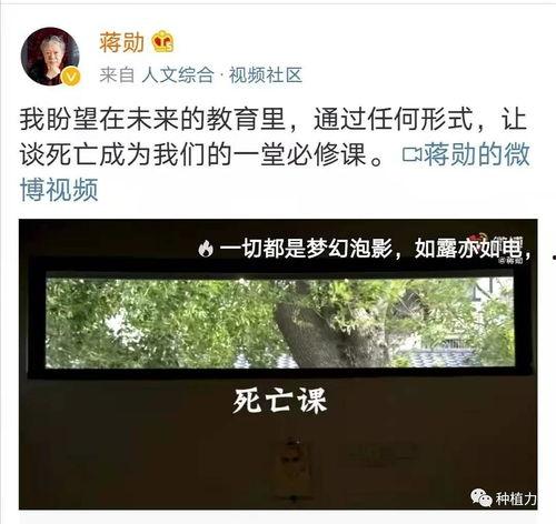 蒋勋视频,探寻艺术与生活的深刻交融