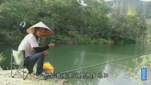 钓马口视频,跟随视频学钓鱼新境界