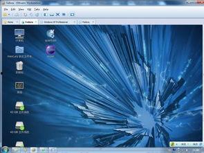 软件开发视频,跟随视频探索编程奥秘