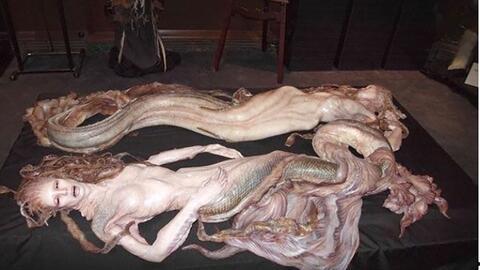 真实美人鱼视频,水下奇观背后的神秘传说