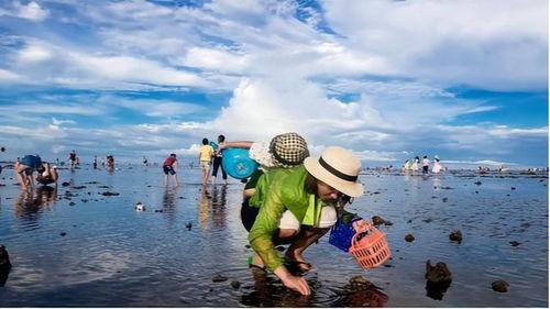 赶海捕鱼视频,探寻海洋的馈赠与渔民的辛勤