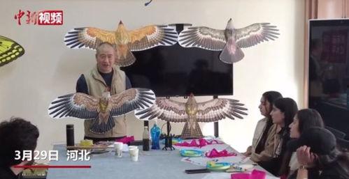 做风筝的视频,跟随视频轻松学会飞翔的艺术