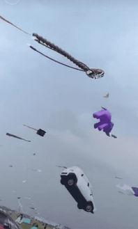 做风筝的视频,跟随视频轻松学会飞翔的艺术