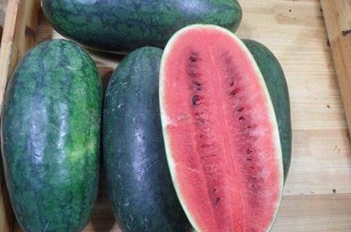 黑瓜吃料网是什么,一站式美食资讯平台深度解析