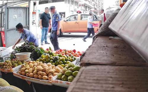 水果店视频,一场视觉与味蕾的盛宴