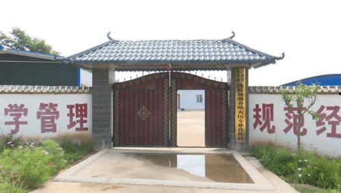 林麝养殖视频,从视频看生态养殖新篇章