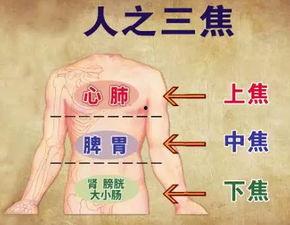 拔罐操作视频,轻松缓解身体不适