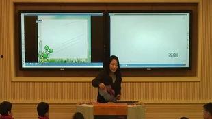 优质公开课视频,深度解析课程内容与教学特色