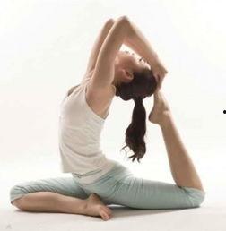 瑜伽初级视频教程