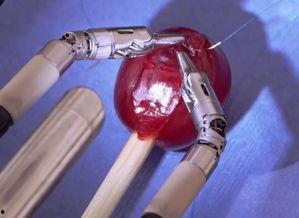 缝针的视频,见证缝针技艺的传承与创新