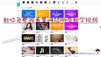 网页视频,一窥精彩瞬间