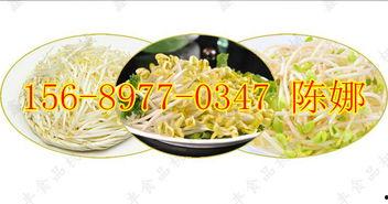 发豆芽视频,跟着视频一起发豆芽