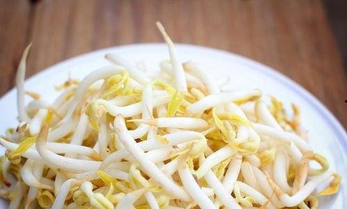 发豆芽视频,跟着视频一起发豆芽