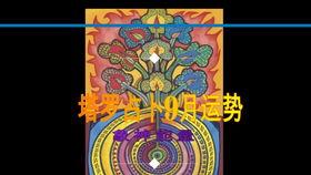 塔罗占卜视频,跟随视频探索神秘力量