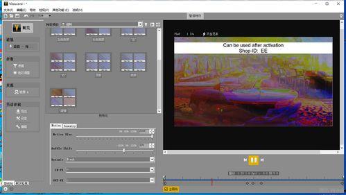 视频滤镜软件,视频滤镜软件带来的视觉盛宴