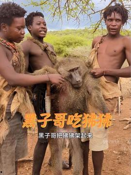 原始部落视频,探寻古老文明的生存智慧