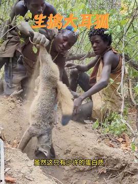 原始部落视频,探寻古老文明的生存智慧