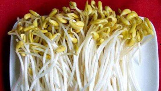 生豆芽视频,生豆芽视频教程全解析