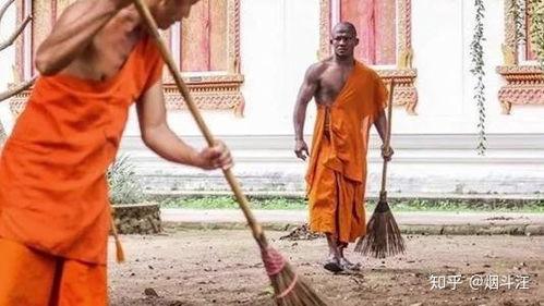 扫地僧视频,揭秘古代高僧的智慧与修行之道