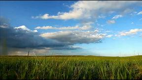 草原素材视频,大自然的绿色画卷