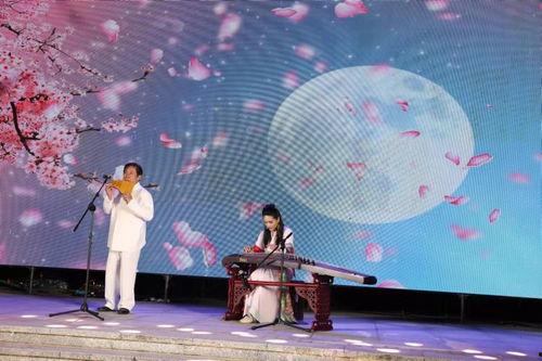 彩云追月视频,梦幻星空下的浪漫之旅