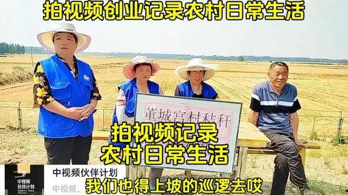 农村创业视频,探索乡村振兴的致富之路